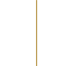 Carter & May small logo